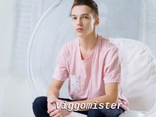 Viggomister