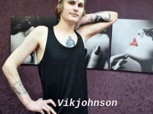 Vikjohnson