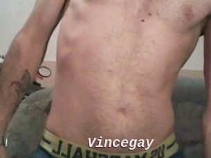 Vincegay