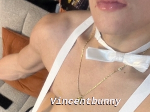 Vincentbunny
