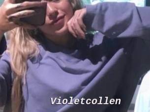 Violetcollen