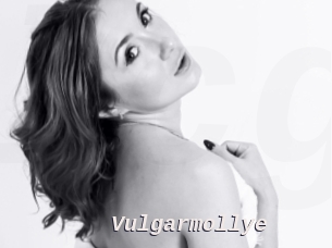 Vulgarmollye