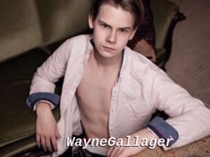 WayneGallager