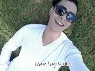 Wesley_Boix