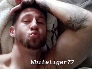 Whitetiger77