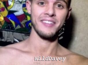 WildDavey