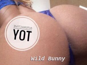 Wild_Bunny_ Live Camgirls Sex