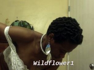 Wildflower1