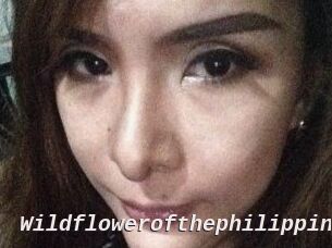Wildflowerofthephilippines