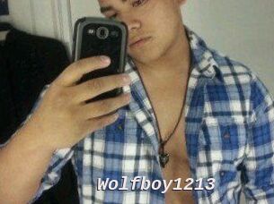 Wolfboy1213