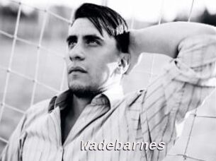 Wadebarnes