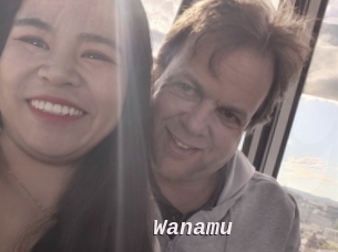 Wanamu