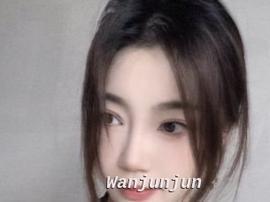 Wanjunjun