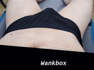 wankbox Live Camgirls Sex
