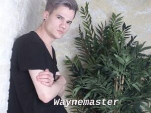 Waynemaster