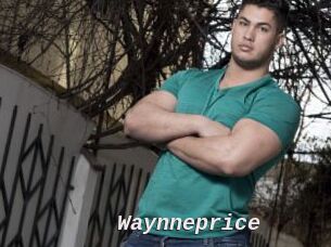 Waynneprice