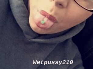 Wetpussy210