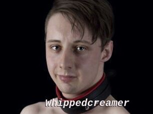 Whippedcreamer