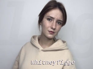 Whitneyfigge