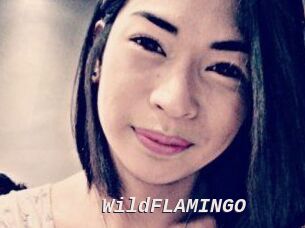 WildFLAMINGO