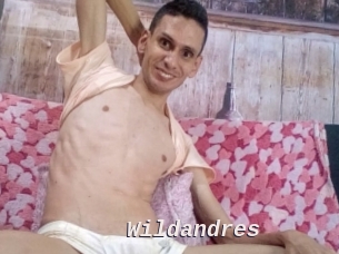 Wildandres