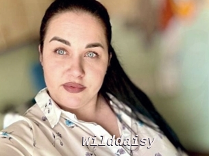 Wilddaisy