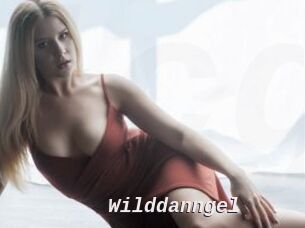 Wilddanngel