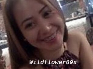 Wildflower69x
