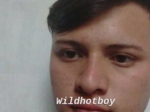 Wild_hotboy