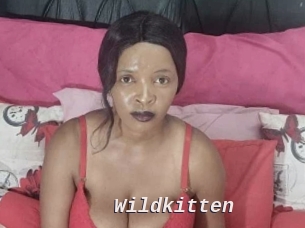 wildkitten Live Camgirls Sex
