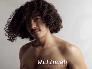 willnoah Live Camgirls Sex