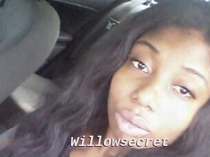 Willow_secret