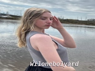 Wilonebolyard