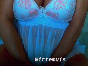 Wittemuis