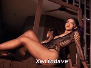 Xenindave