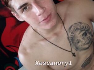 Xescanory1
