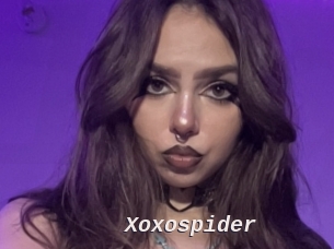 Xoxospider
