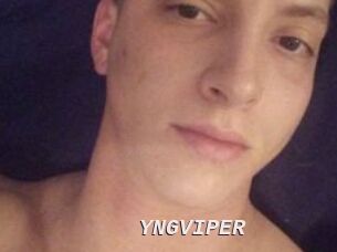 YNGVIPER
