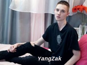 YangZak