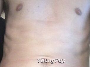 YoungPup