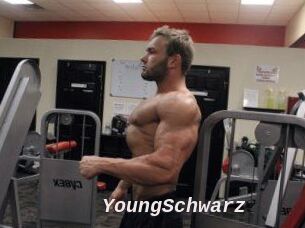 YoungSchwarz