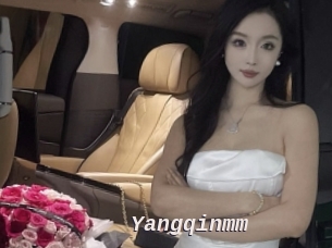 Yangqinmm