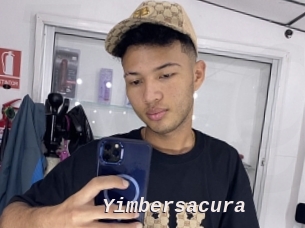 Yimbersacura