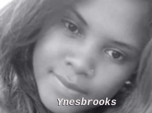 Ynesbrooks