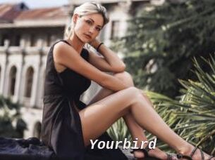 Yourbird