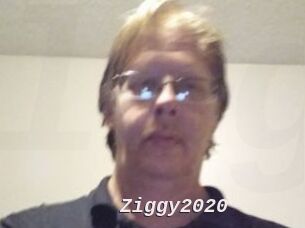 Ziggy2020