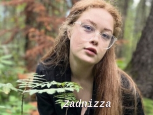 Zadnizza