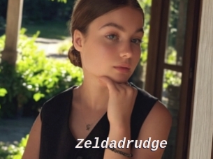 Zeldadrudge