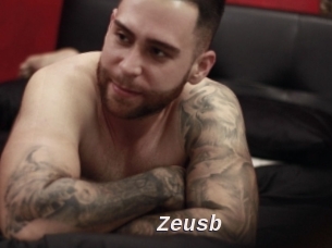 Zeusb