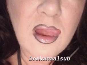 Zoekanaalsub